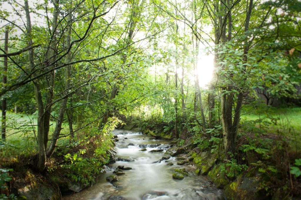 Naturhotel Ortners Eschenhof Бад Клайнкирххайм Екстериор снимка
