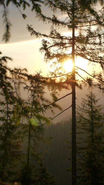 Naturhotel Ortners Eschenhof Бад Клайнкирххайм Екстериор снимка